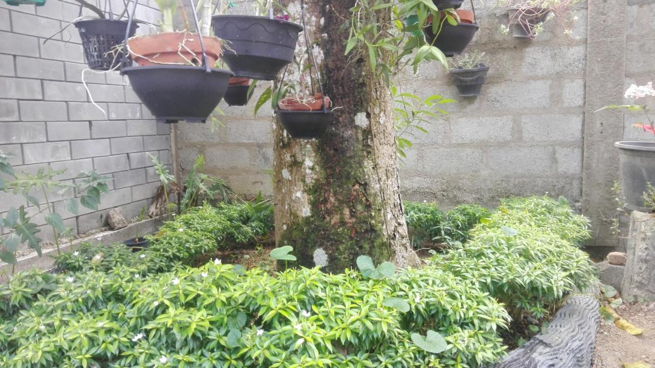 Mango Roots Appartement Gampaha Buitenkant foto